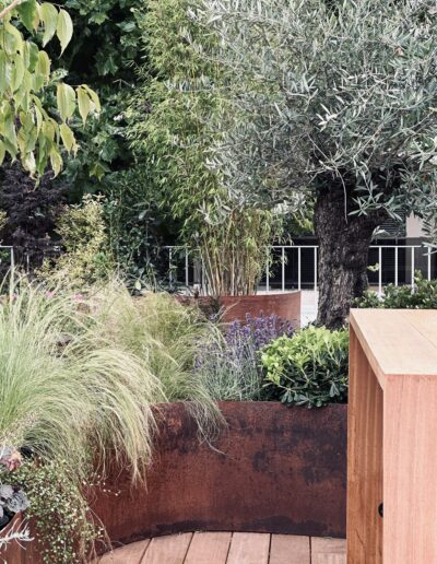 Une jardinière courbe en acier Corten, pleine de végétation, posée sur un parquet. Des graminées, un olivier.