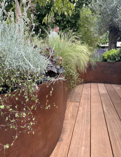 Une jardinière courbe en acier Corten, pleine de végétation, posée sur un parquet. Des graminées, un olivier.