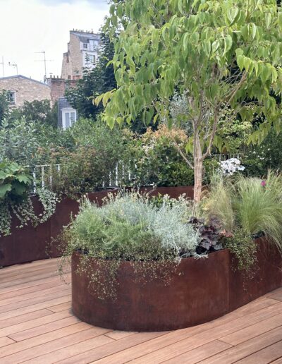 Une jardinière courbe en acier Corten, pleine de végétation, posée sur un parquet. Des graminées, un arbre.