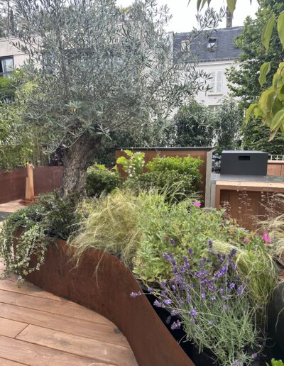 Une jardinière courbe en acier Corten, pleine de végétation, posée sur un parquet. Des graminées, un olivier, de la lavande. La cuisine au second plan.